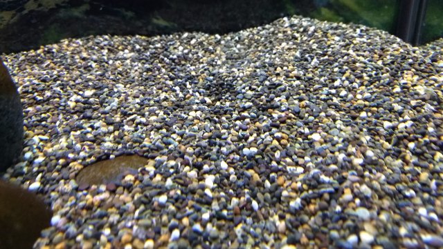 IMG_20201115_112620223.jpg