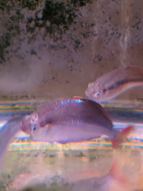 PXL_20201117_011250689.MP.jpg