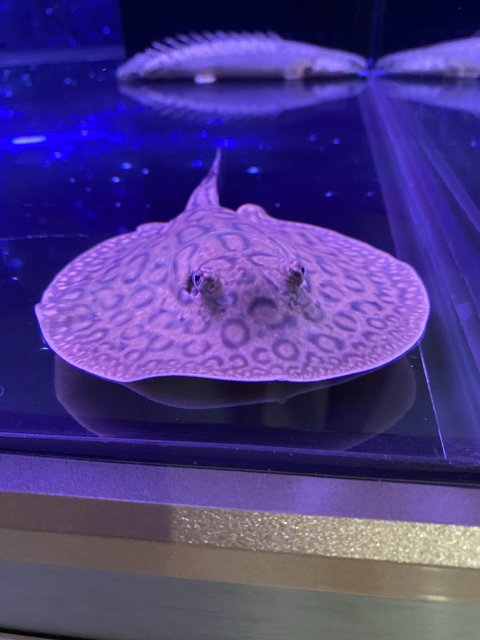 2780C397-4F0E-4D86-A498-DF229EF0D981.jpeg 2780C397-4F0E-4D86-A498-DF229EF0D981.jpeg