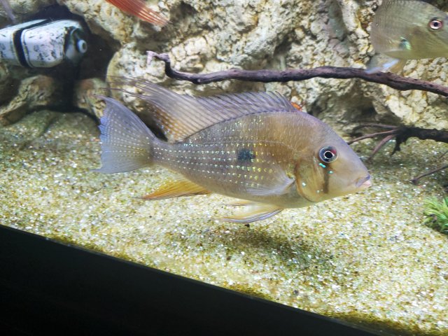 20201118_160534.jpg