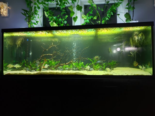 20201118_211936.jpg
