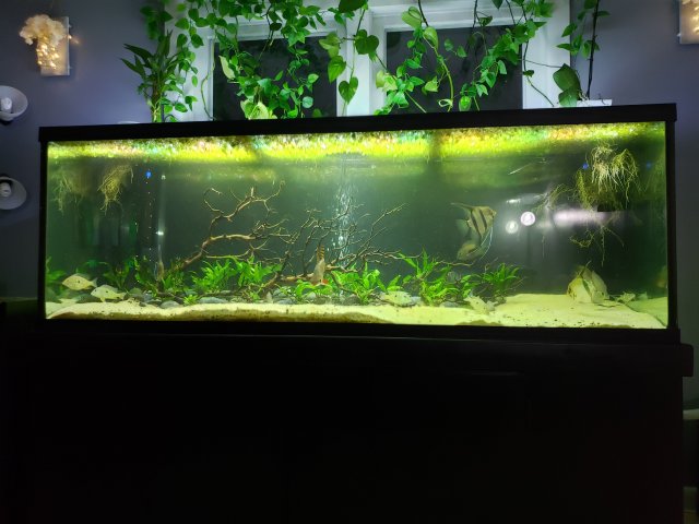 20201118_211929.jpg