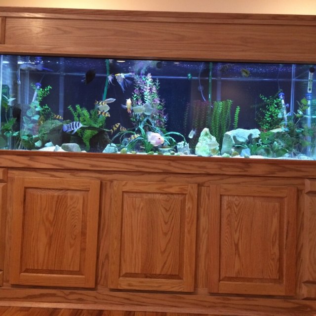 For Sale custom aquarium stands and canopies