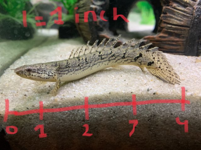 FF80AD05-5D24-4264-BC5D-DF8CD4469D18.jpeg FF80AD05-5D24-4264-BC5D-DF8CD4469D18.jpeg