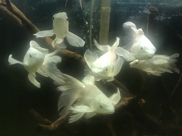 589F2719-4EEA-4EB2-9975-FA450A668D03.jpeg 589F2719-4EEA-4EB2-9975-FA450A668D03.jpeg