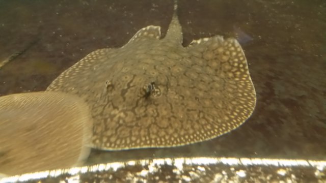 20201121_112606.jpg