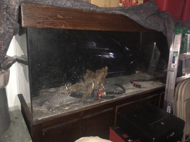 tank1.jpg