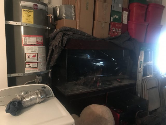 tank2.jpg