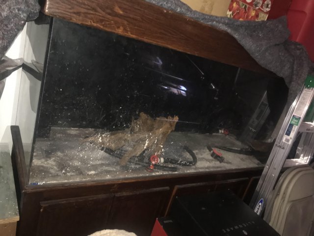 tank3.jpg tank3.jpg