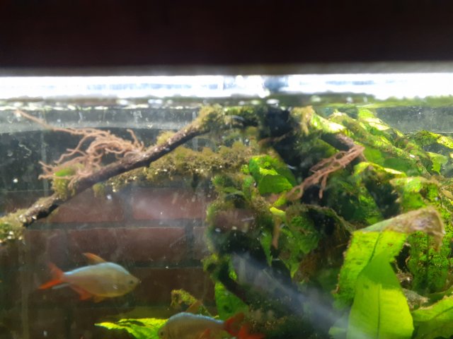 20201121_215048.jpg