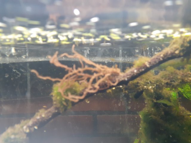 20201121_215040.jpg