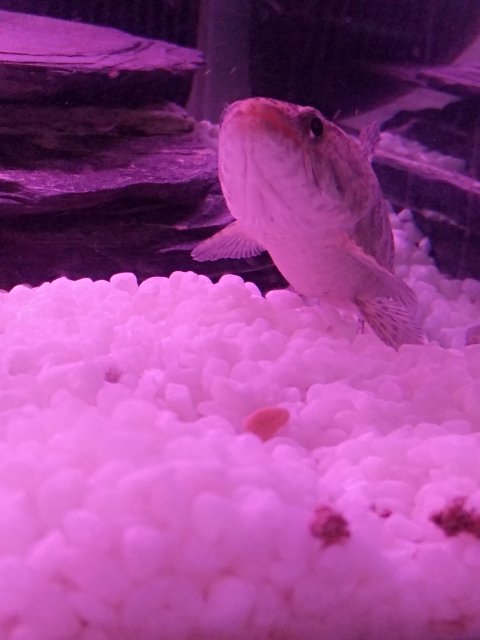 IMG_20201122_182036.jpg