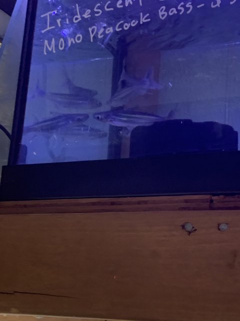 C22375F5-7B0E-475D-980D-30D21C462330.jpeg