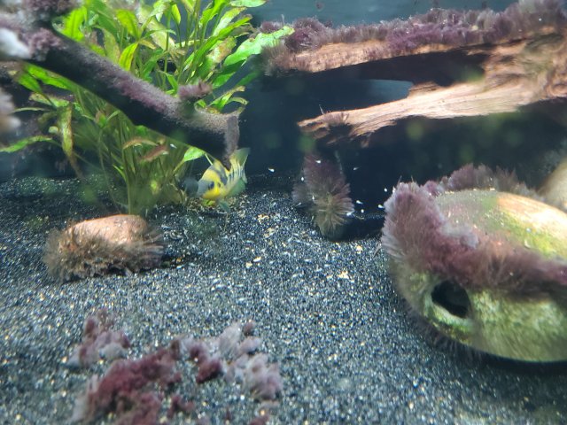 20201122_175412.jpg