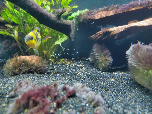 20201122_175321.jpg