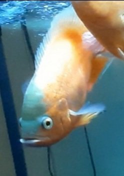 20201124_020912.jpg