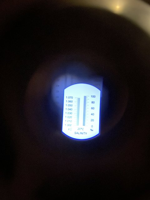 77CE9148-55B0-46F7-B14D-76D6BDF937A4.jpeg 77CE9148-55B0-46F7-B14D-76D6BDF937A4.jpeg