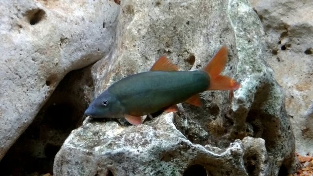 20201125_073652.jpg