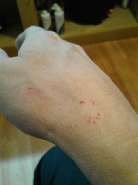 20190206_102650.jpg 20190206_102650.jpg