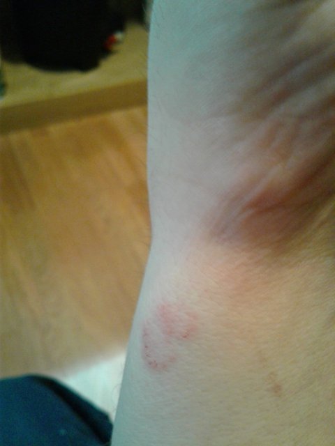 20190206_102642.jpg 20190206_102642.jpg