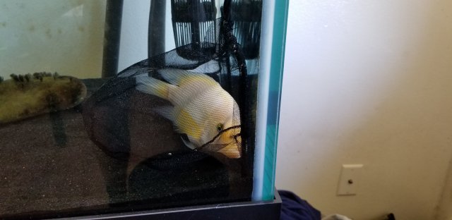 20190629_093543.jpg 20190629_093543.jpg