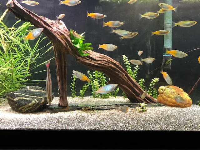 IMG_0604.jpg IMG_0604.jpg