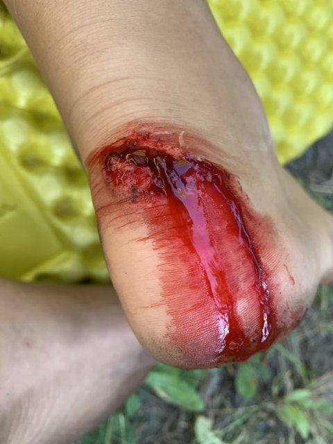 4E4B8C03-9C37-47D1-AF8A-98962CCD263D.jpeg 4E4B8C03-9C37-47D1-AF8A-98962CCD263D.jpeg