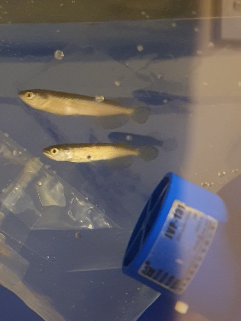 20201128_121338.jpg