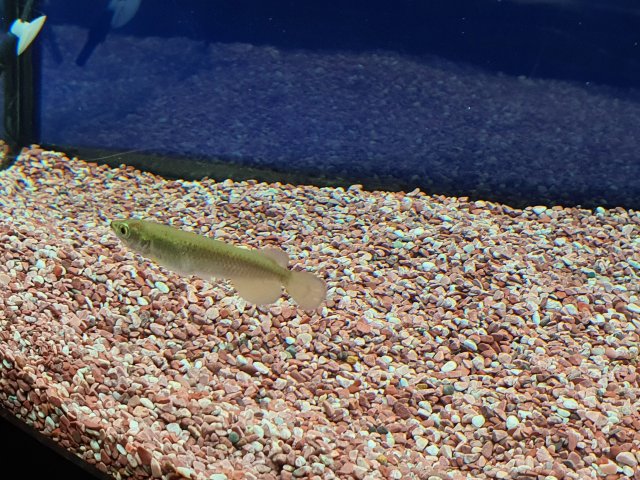 20201129_154807.jpg