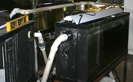 1606659724415.png 1606659724415.png