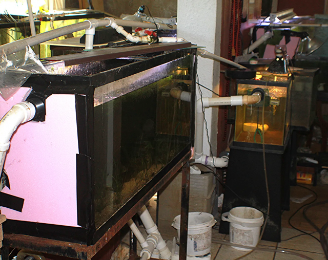 1606659934703.png 1606659934703.png