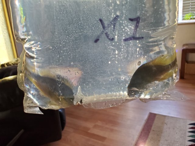 20201130_103540.jpg 20201130_103540.jpg