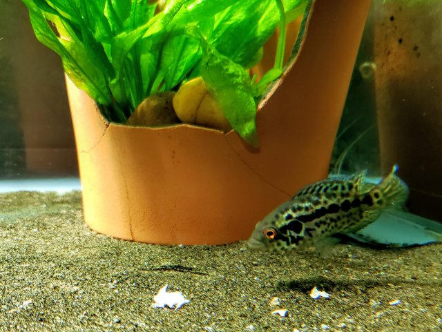 20201130_184149.jpg