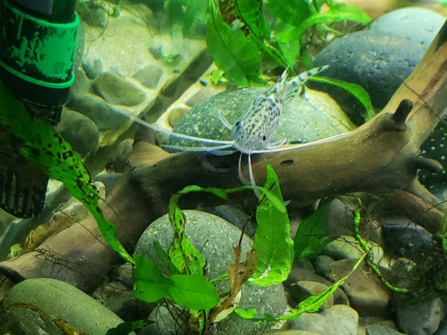 20201130_220923.jpg