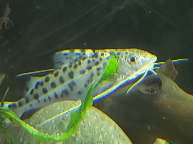 20201130_220842.jpg