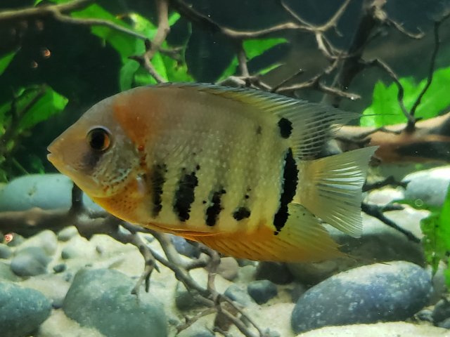 20201130_220639.jpg