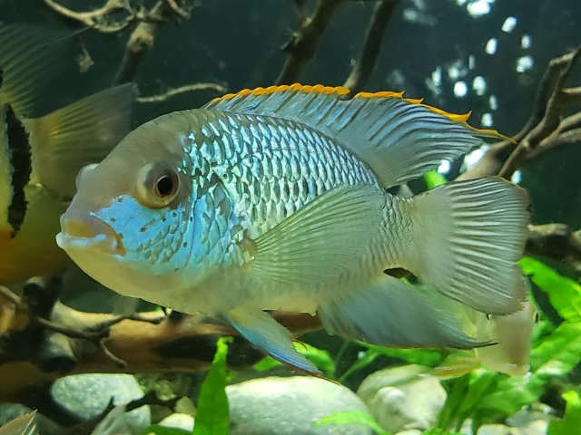 20201130_220438.jpg