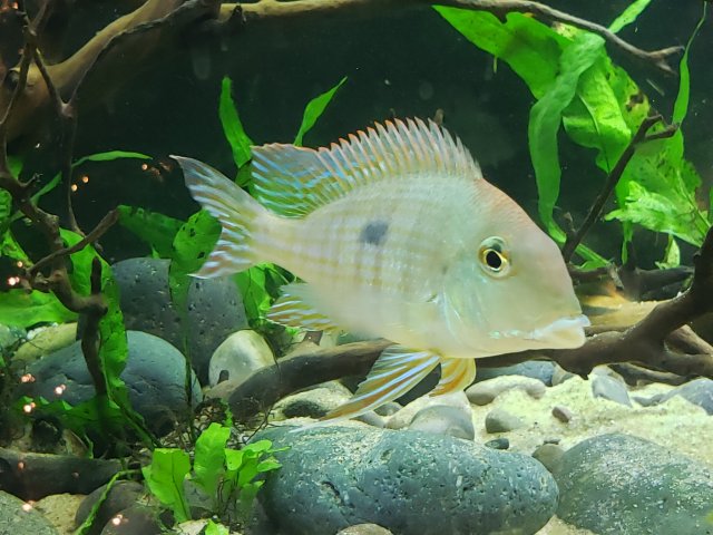 20201130_220425.jpg