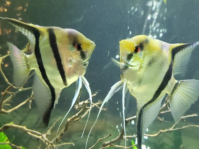 20201130_220348.jpg