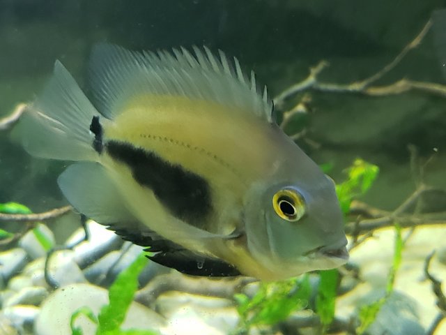 20201130_220328.jpg