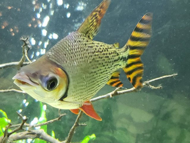 20201130_220315.jpg