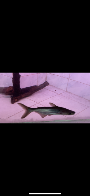 8054A0F7-A864-4B45-9DCE-B629451D9FDF.png