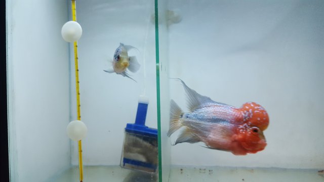 20201204_025407.jpg 20201204_025407.jpg