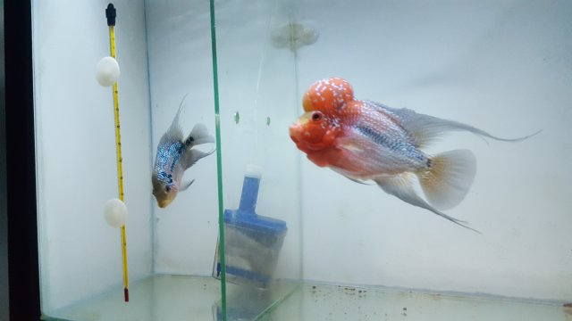 20201204_025404.jpg 20201204_025404.jpg