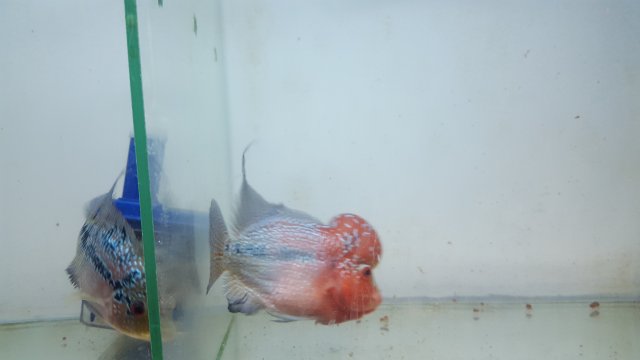 20201204_025211.jpg 20201204_025211.jpg