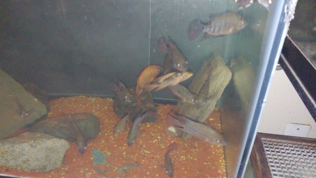1203202159a.jpg