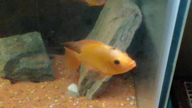 1203202214c.jpg