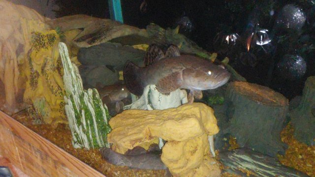 1204200916.jpg