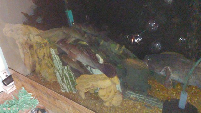 1204200917i.jpg