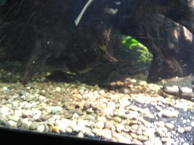 IMG_20201205_200108457.jpg